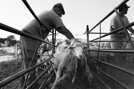 Imagen Las colecciones de Itinera vuelven a girar por la provincia, acercando las exposiciones de pintura o fotografía a todos los segovianos